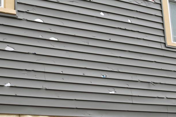 Best Historical Building Siding Restoration  in , AZ